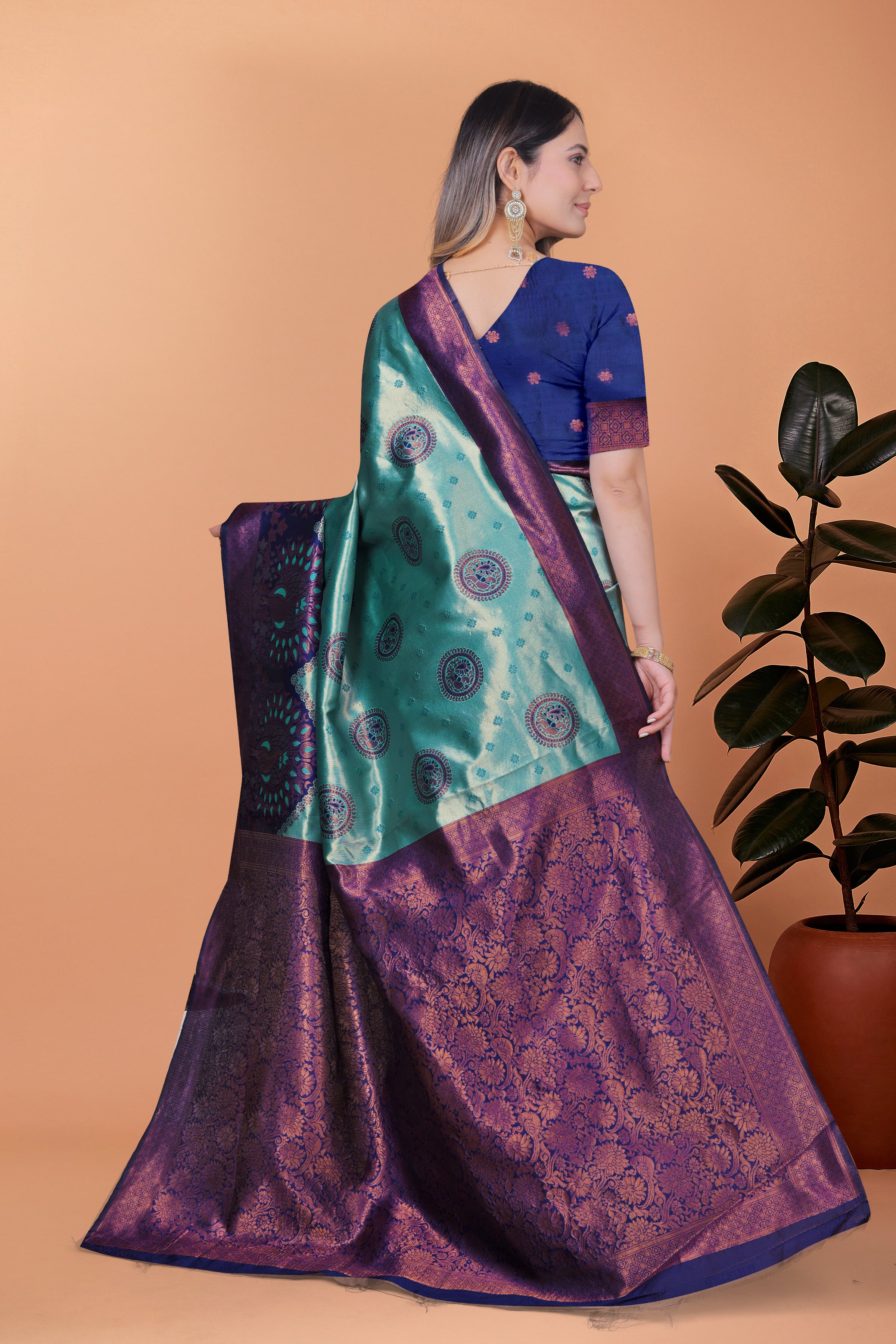 Banarasi Saree with Plum Borders with 8 Color